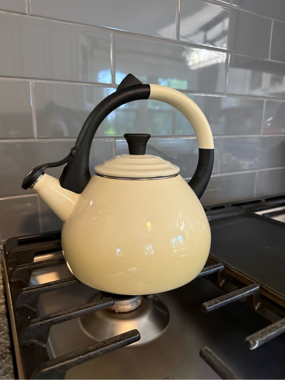 Le Creuset Dune Ombré Tea Kettle with Black Handle